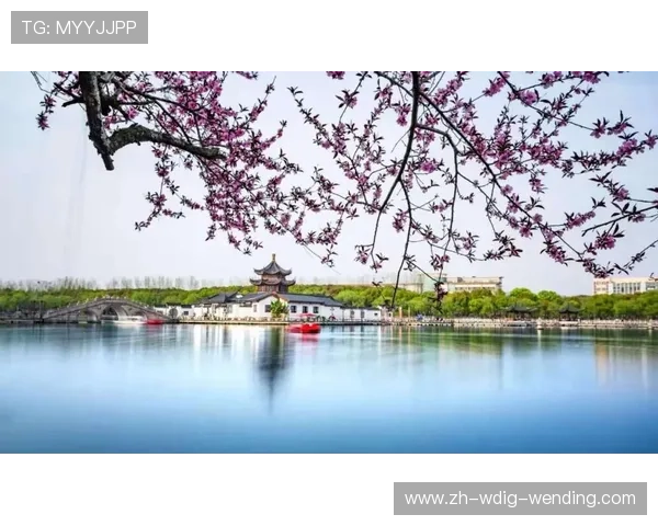 家庭体育健身器材配置清单