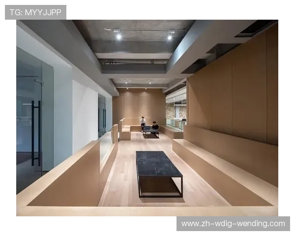 德甲球队球馆设计理念与现代化设施比较