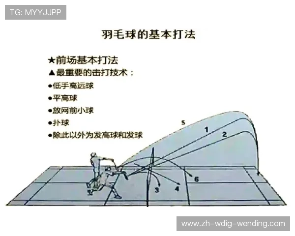 羽毛球球规则与打法 羽毛球球规则与打法