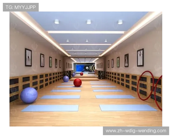 艾菲特健身器材官网:探访艾菲特健身器材的官方网站 艾菲特健身器材官网:探访艾菲特健身器材的官方网站